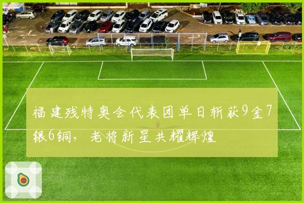 福建残特奥会代表团单日斩获9金7银6铜，老将新星共耀辉煌